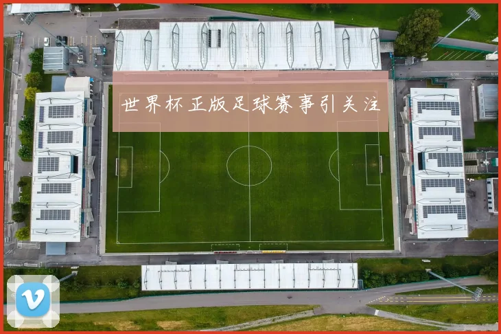世界杯正版足球赛事引关注