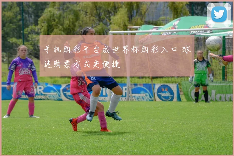 手机购彩平台成世界杯购彩入口 球迷购票方式更便捷