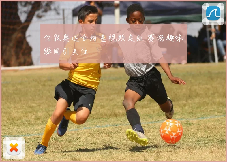 伦敦奥运会柯基视频走红 赛场趣味瞬间引关注