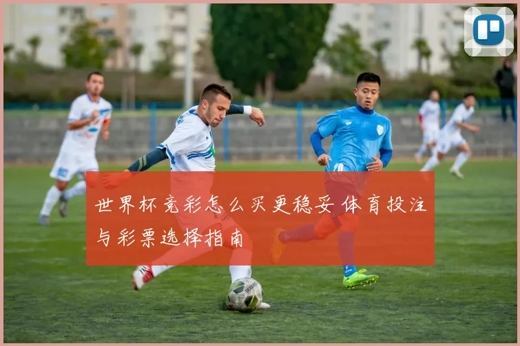 世界杯竞彩怎么买更稳妥 体育投注与彩票选择指南