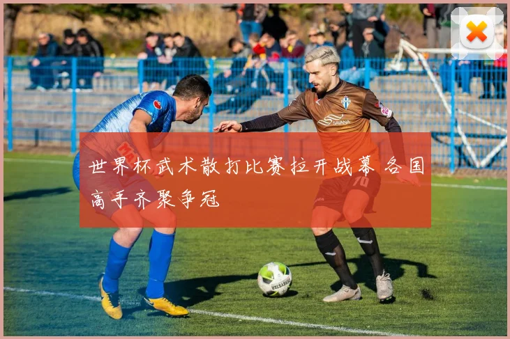 世界杯武术散打比赛拉开战幕 各国高手齐聚争冠