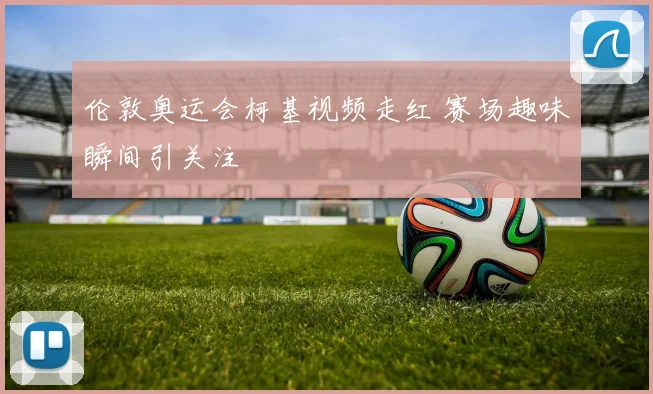 伦敦奥运会柯基视频走红 赛场趣味瞬间引关注