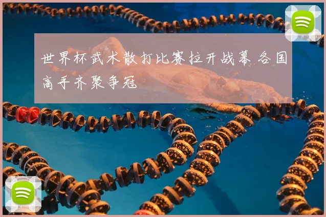 世界杯武术散打比赛拉开战幕 各国高手齐聚争冠